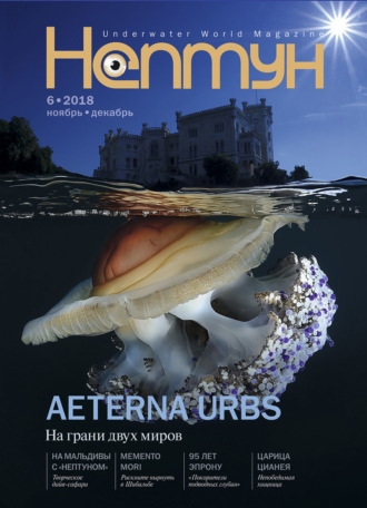 Обложка книги «Нептун №6/2018»