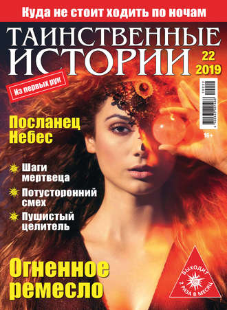 Обложка книги «Таинственные истории №22/2019»