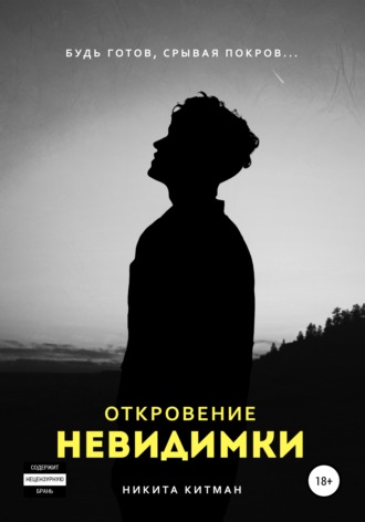 Обложка книги «Откровение невидимки»