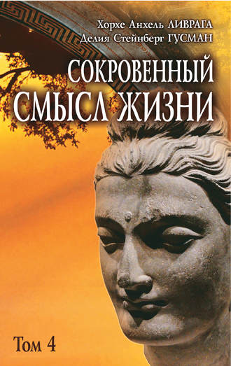 Обложка книги «Сокровенный смысл жизни. Том 4»