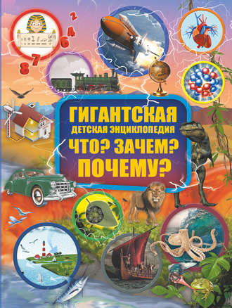 Обложка книги «Что? Зачем? Почему?»