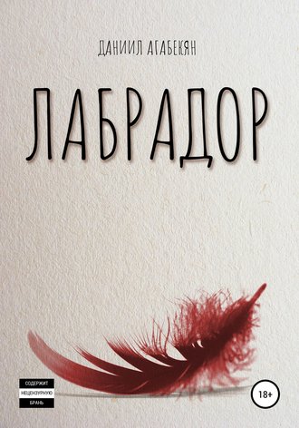Обложка книги «Лабрадор»