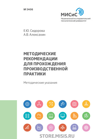 Е. Ю. Сидорова. Методические рекомендации для прохождения производственной практики