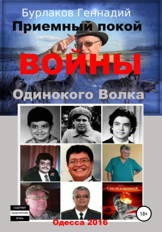 Обложка книги «Приемный покой ВОЙНЫ Одинокого Волка»