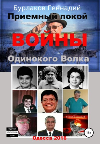 Геннадий Анатольевич Бурлаков. Приемный покой ВОЙНЫ Одинокого Волка