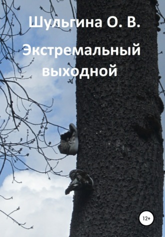 Обложка книги «Экстремальный выходной»