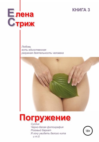 Обложка книги «Погружение»