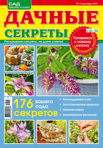 Обложка книги «Сад своими руками. Дачные секреты №12/2019»