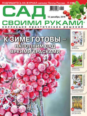 Обложка книги «Сад своими руками №12/2019»
