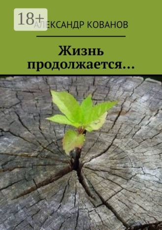 Обложка книги «Жизнь продолжается…»