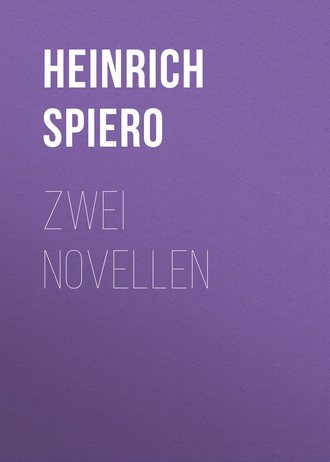 Обложка книги «Zwei Novellen»