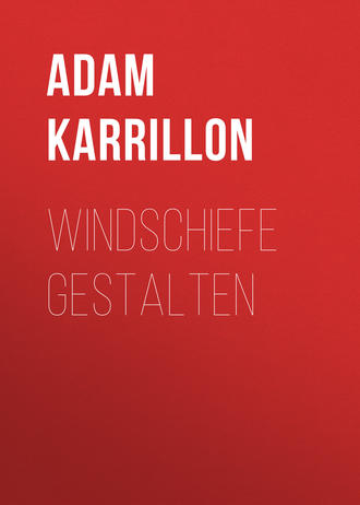 Обложка книги «Windschiefe Gestalten»