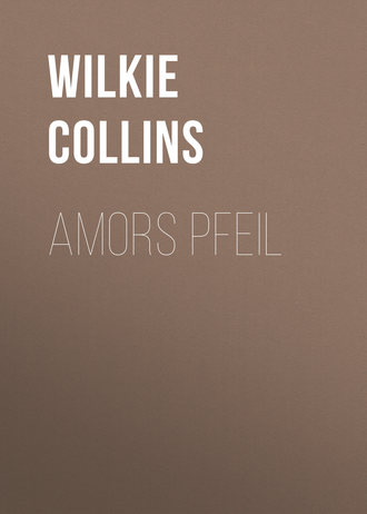 Обложка книги «Amors Pfeil»