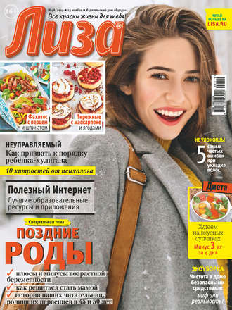 Обложка книги «Журнал «Лиза» №48/2019»