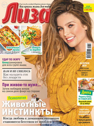 Обложка книги «Журнал «Лиза» №49/2019»