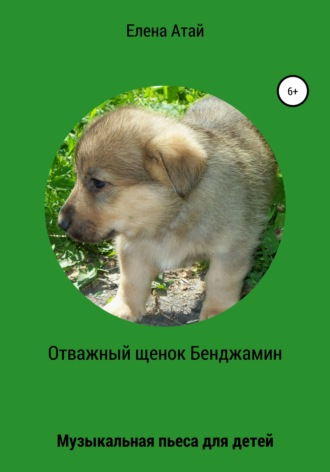 Обложка книги «Отважный щенок Бенджамин. Музыкальная пьеса для детей»