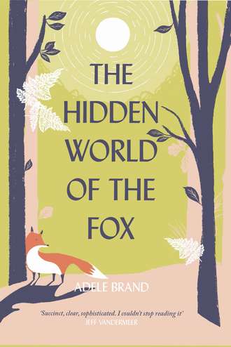 Adele Brand. The Hidden World of the Fox