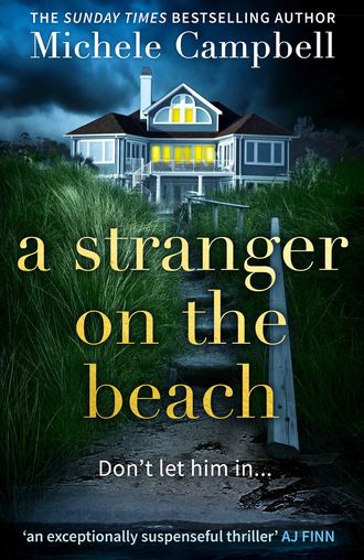 Michele  Campbell. A Stranger on the Beach