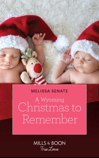 Melissa  Senate. A Wyoming Christmas To Remember