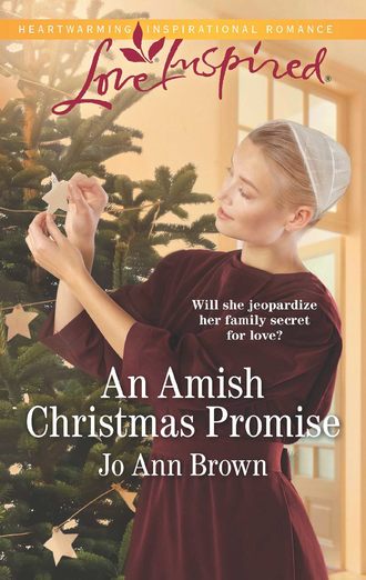 Jo Brown Ann. An Amish Christmas Promise