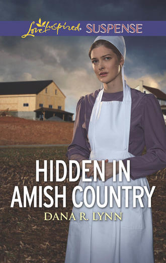 Dana Lynn R.. Hidden In Amish Country