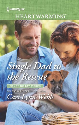 Cari Webb Lynn. Single Dad To The Rescue