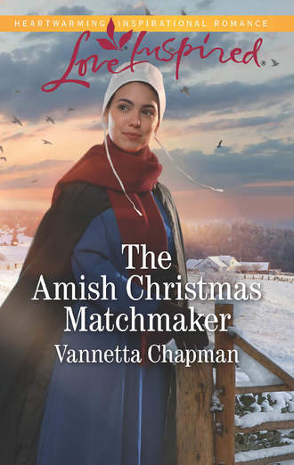 Vannetta  Chapman. The Amish Christmas Matchmaker