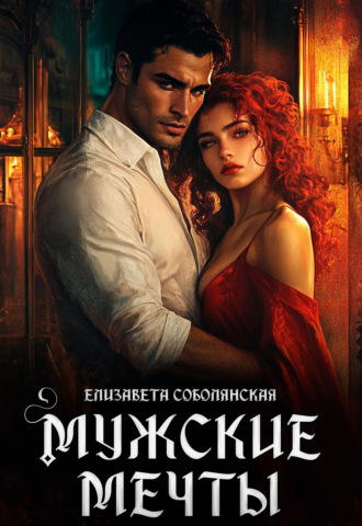 Обложка книги «Мужские мечты»