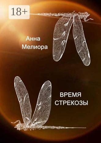 Обложка книги «Время стрекозы»