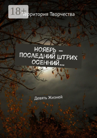 Обложка книги «Ноябрь – последний штрих осенний… Девять Жизней»