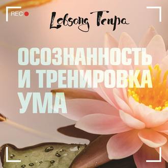 Обложка книги «Осознанность и тренировка ума»