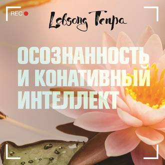 Обложка книги «Осознанность и конативный интеллект»