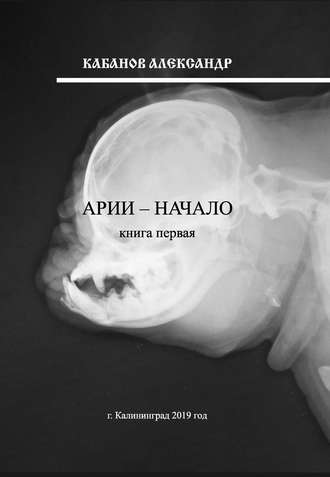 Александр Кабанов. Арии – начало. Книга 1