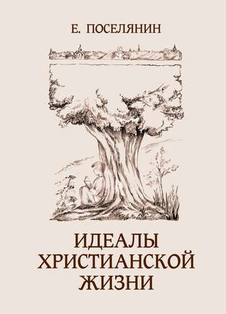 Евгений Поселянин. Идеалы христианской жизни