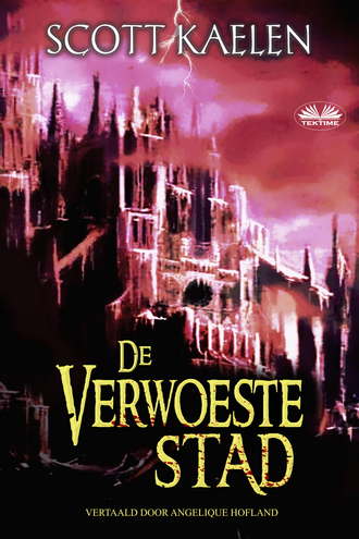 Обложка книги «De Verwoeste Stad»