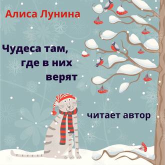 Обложка книги «Чудеса там, где в них верят»