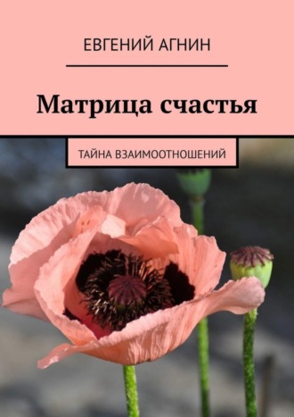 Евгений Агнин. Матрица счастья. Тайна взаимоотношений