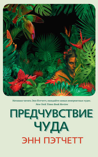 Обложка книги «Предчувствие чуда»