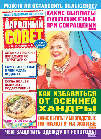 Обложка книги «Народный совет №47/2019»
