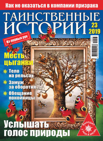 Обложка книги «Таинственные истории №23/2019»