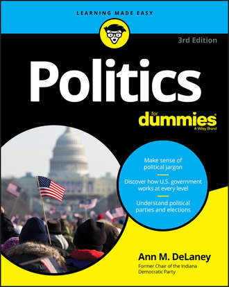 Ann M. DeLaney. Politics For Dummies