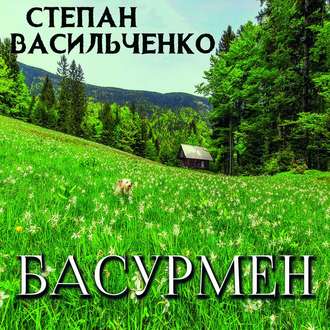 Обложка книги «Басурмен»