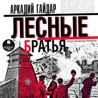 Обложка книги «Лесные братья (Давыдовщина)»