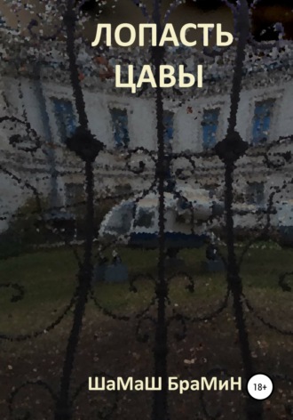 Обложка книги «Лопасть цавы»