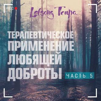 Обложка книги «Терапевтическое применение практики любящей доброты. Часть 5»