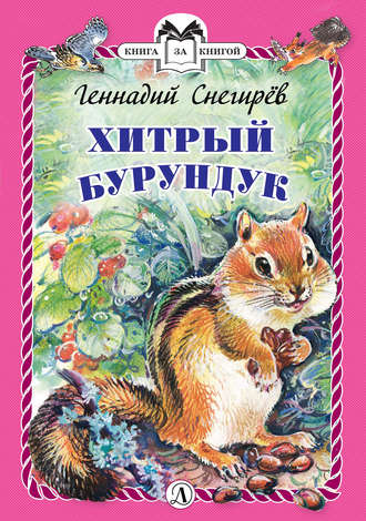 Обложка книги «Хитрый бурундук»