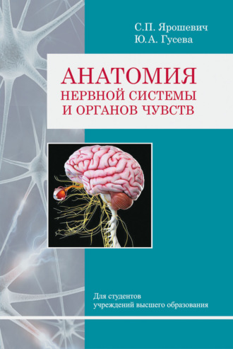 Обложка книги «Анатомия нервной системы и органов чувств»