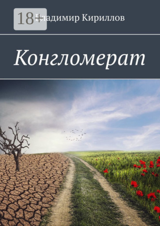 Обложка книги «Конгломерат»