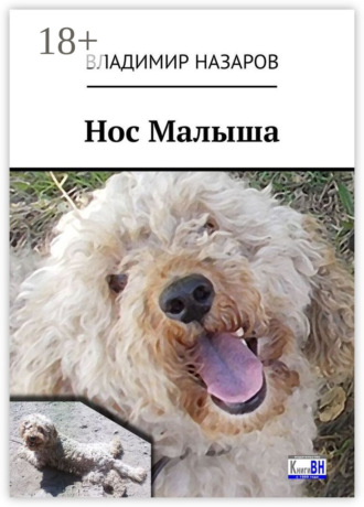 Обложка книги «Нос Малыша»