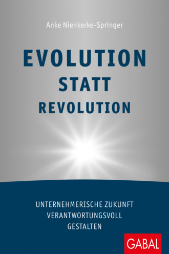 Anke Nienkerke-Springer. Evolution statt Revolution